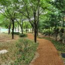 새숲어린이공원 서울뉴스통신