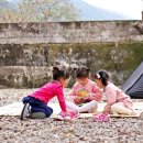 연화산반딧불이캠핑장 이미지