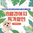 미유펫대구 강아지분양고양이분양(도그플러스동물병원) 이미지