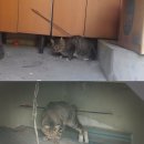 조준농장 이미지