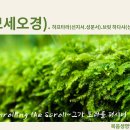 32-33주(5/7-목)＜반복＞"베하르(산에서),베후코타이(나의 규례안에)"-레25:1~27:31 이미지
