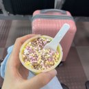 [여정] 8월에 &#34;제주도&#34;좋지 - 2박3일 제주도/제주여행/쏘카사고처리