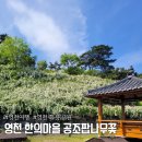 영천한의마을 기념품 | 대구근교 나들이 영천한의마을 공조팝 만개