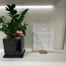 신원빌딩앞(올림픽로116-1) | [송파] 잠실경락 맛집 - &#39;가인미가 잠실새내역점&#39; 얼굴 경락 가격 및 후기