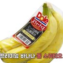 진차이 이미지