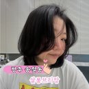 브리앙 | 청주 송절동 살롱브리앙 솔직후기｜헤어스타일 고민 끝