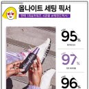 화장 지속력 올리는 꿀템｜어반디케이 픽서 후기