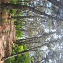 성당초교 이미지