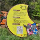 양지현대주유소 이미지