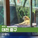 대전오월드 이미지