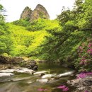 영남5길L 이미지