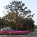 골프매니아 Daum카페