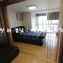 디오빌7 이미지