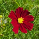 카톨릭대학약국 이미지