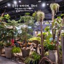 카페코레아노 - 전주시 완산구 솟대2길 20 | 카페코레아노