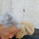 마음든 동물병원 이미지