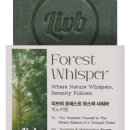 올인원 고체 바디워시 이미지