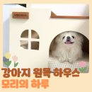 모리의공방 | 인테리어 강아지 원목 하우스 숨숨집 - 모리의 하루 내돈내산 후기