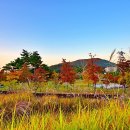 청계공원