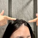 정원약품㈜ | 탈모샴푸 추천! 마이녹셀 프레스티지 대용량 샴푸로 뿌리 볼륨과 두피 케어까지? 한달 사용 솔직 후기