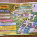 숲속애애플트리 이미지