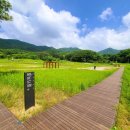 여주-0593 Daum카페