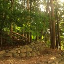 대신공원 이미지