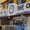 광장복어 이미지