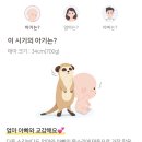 다농식자재마트 - 부평구 주부토로 24 | 다농식자재마트