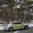 솔밭휴개소 네이버블로그