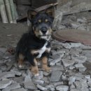 지리산유랑 이미지