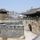 수원-1487 네이버블로그