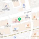 김포강아지고양이 멍냥아구래구래 이미지