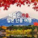 하나투어 이미지