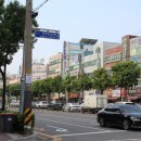가로수 이미지