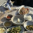 금남멧돼지 이미지