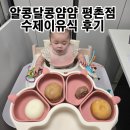 에이스평촌타워 | 안양 수제이유식 알콩달콩얌얌 평촌점 6개월 중초기이유식 후기