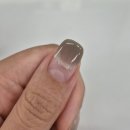 네일비브 네이버블로그