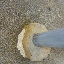 한홀초등학교 이미지