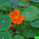 동산농장 이미지