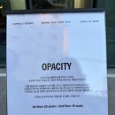 오퍼시티(OPACITY) 네이버블로그