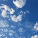 진아전자 이미지