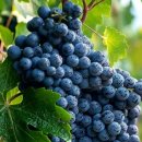 이후헤어 이미지