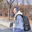 달씨 이미지