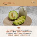 연자연 이미지