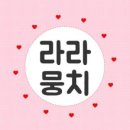 엘비오LBO