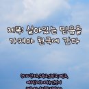믿음