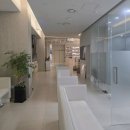 목동건강약국 | 목동로운동물병원건강검진후기 내돈내산후기 스케일링후기 노령견동물병원 24시동물병원