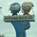 야외무대장 | [여수] 여수 불꽃놀이ㅣ여수 가족여행ㅣ불꽃 크루즈 “오션크루즈“ 솔직후기