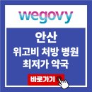 안산 위고비 처방 병원 최저가 약국 가격 비교 가장 싼 곳 후기